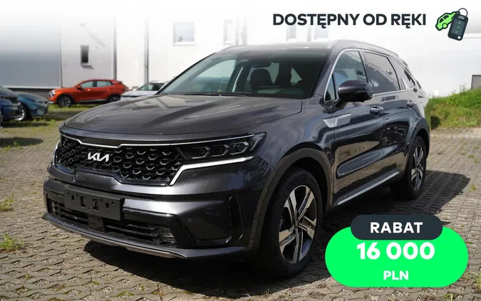 opolskie Kia Sorento cena 239900 przebieg: 1, rok produkcji 2023 z Stawiszyn
